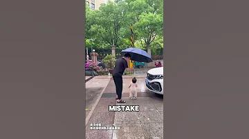 সিলেটে কয়টি দর্শনীয় স্থান আছে