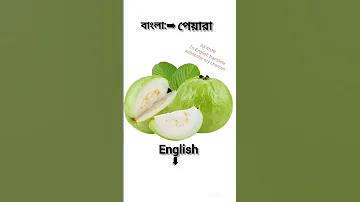 8 ম শ্রেণির গণিত 2.2
