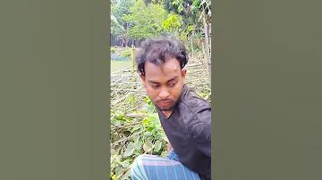রাজনীতির চিত্রই কি আমরা টি-টোয়েন্টি ক্রিকেটে দেখছি | The Daily Star Bangla