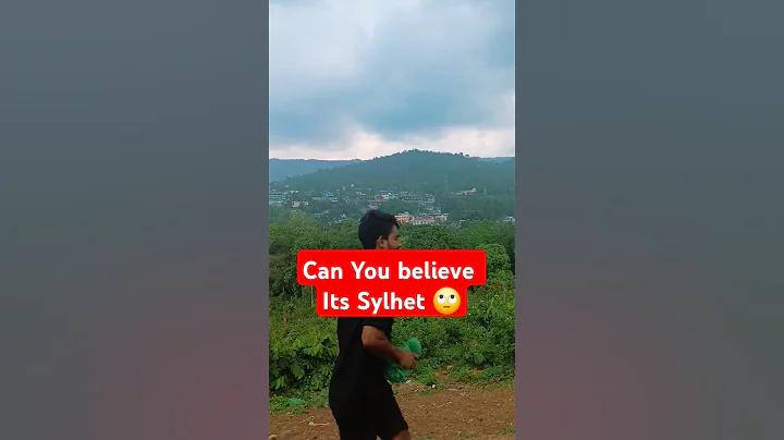 হাস্যকর সমার্থক শব্দ