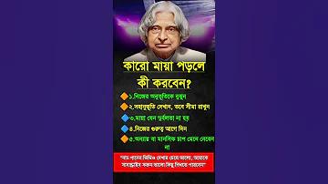 ছবি গেম ভিডিও