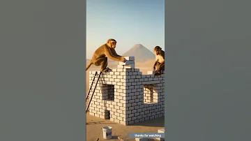 বাজি অনুমোদিত