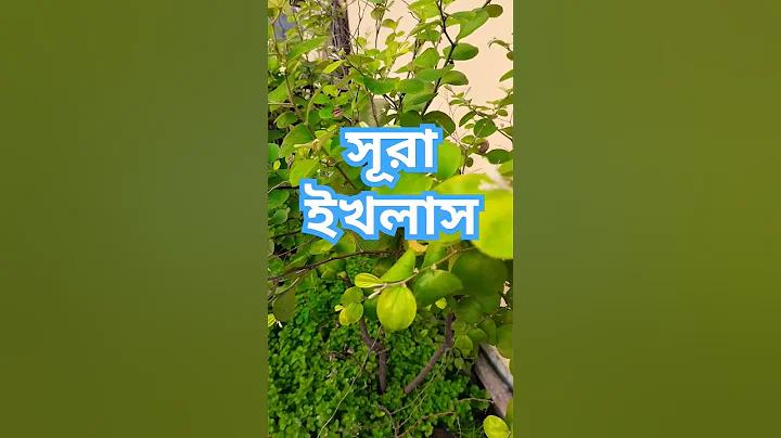 জীবন রক্ষাকারী হরমোন কোনটি