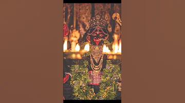 ক্রিকেটে বোলিং বন্ধ করার উপায়