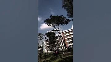 বয় পোল ইলেকশন রেজাল্টস টুডে লাইভ