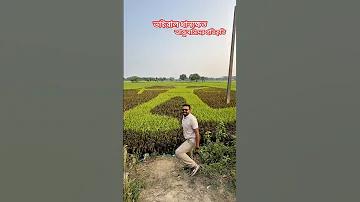 কম বাজেটে স্লট