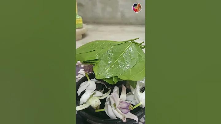 peak meaning in bengali