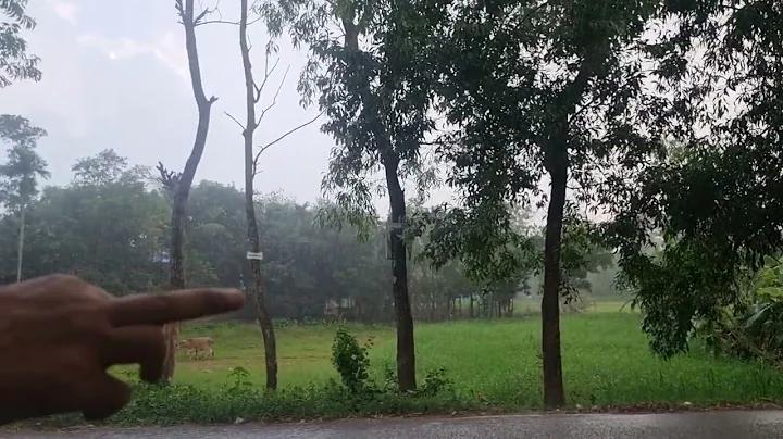 নতুন ইউজার খেললেই লাভ হচ্ছে