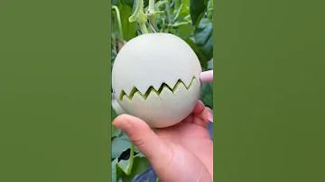 চলচ্চিত্র জগতে মৃণাল সেন