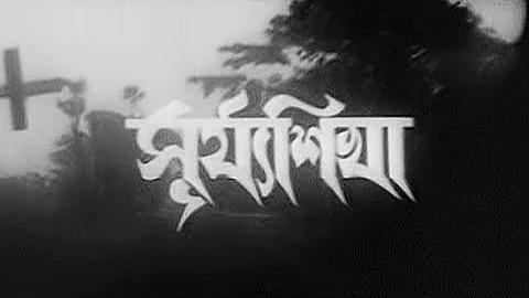বাজি লাইভ অ্যাপ