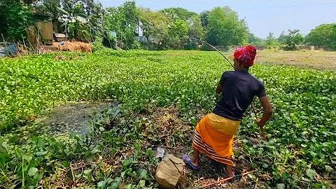 নারায়ণগঞ্জ ৫ আসন