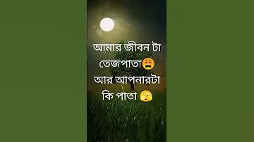 ভিডমেট অ্যাপ