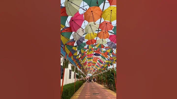 স্লট 777 জমা তোলা কোন সীমা নেই