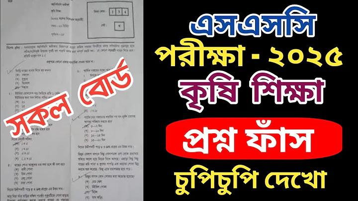 হানয় স্টার লাইভ