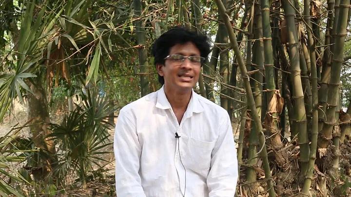 1200 ইমপ্রেশন কি ভালো