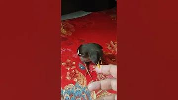 পথে প্রবেশ pg স্লট অটো মোবাইল 2021