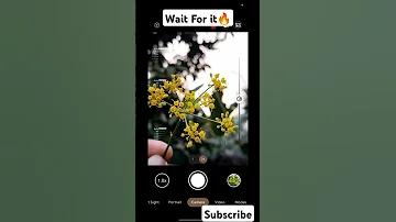 সুযোগের ব্যাঙ স্লট