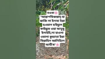ওয়াবি সবি রেস্টুরেন্ট