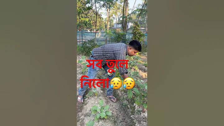 আলট্রাভায়োলেট লাইট কি