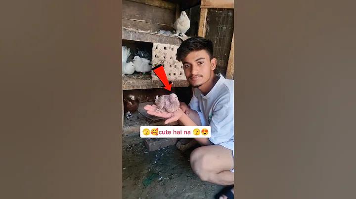 সুপারস্লট ৫০ টাকা ৩০০ উত্তোলন