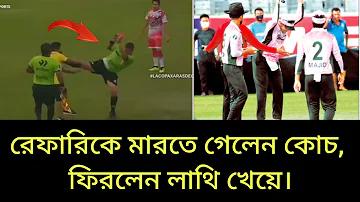 প্রো গেম বিড়াল