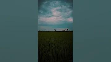 রুম ডেটিং হোটেল ঢাকা