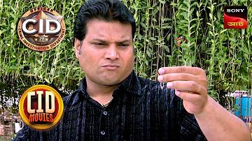 মানব ভ্রূণের বিকাশ