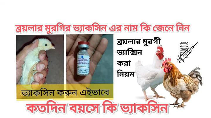 হোড় ৩০ ডিসেম্বর ২৫৬১
