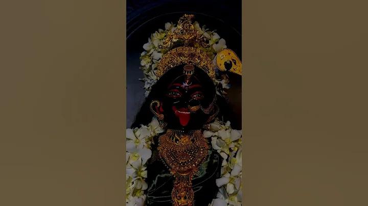 জয় রাধে দামোদর