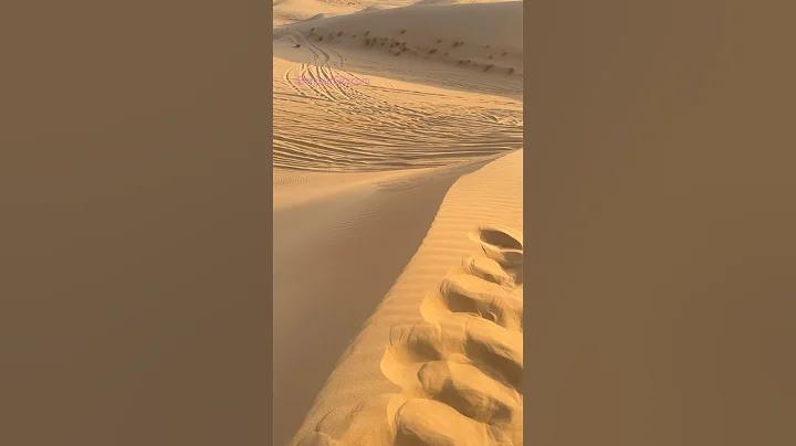 করোনা ভাইরাস - লাইভ আপডেট