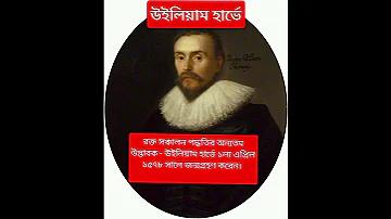 চীনের শেয়ার দুপুরের পিছনে