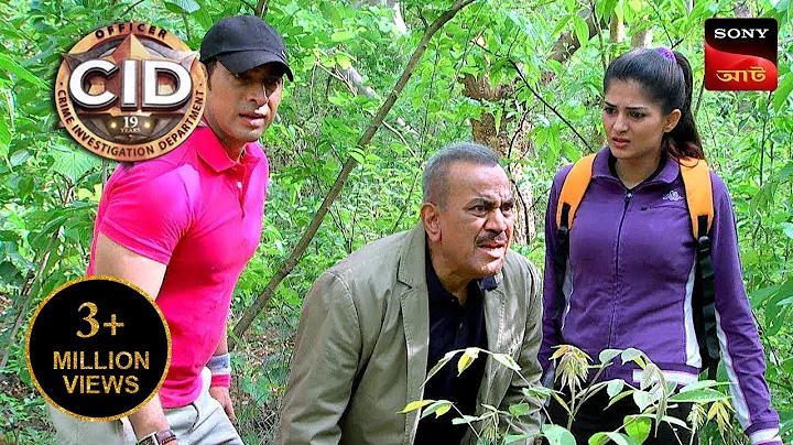 মোর বীনা ওঠে কোন সূরে বাজি