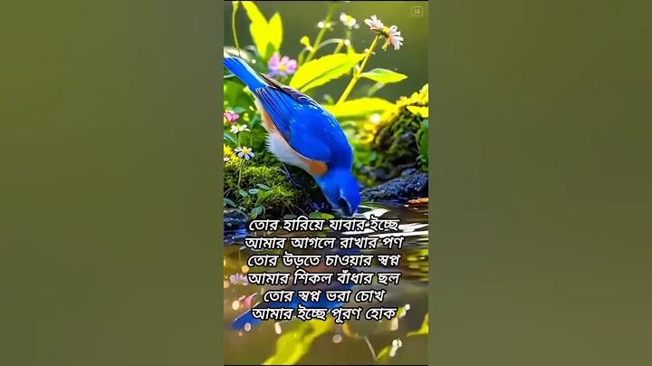 ক্রিকেটের নিয়ম - অ্যাক্টিভএসজি সার্কেল