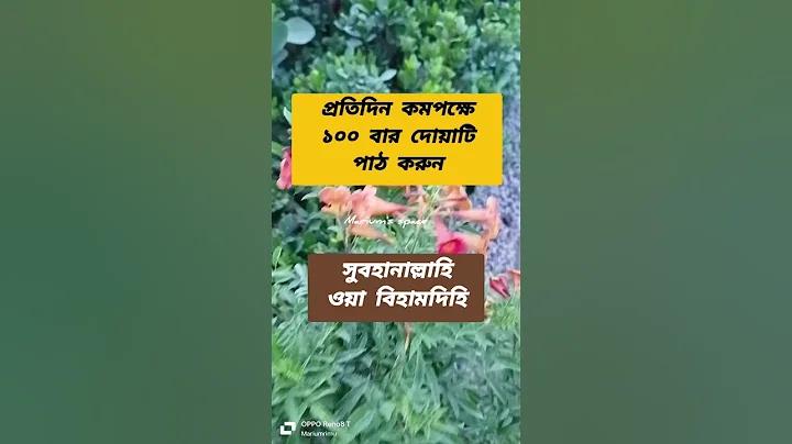 MARVELBET SIGN UP | হেডলাইন ত্রিপুরা লাইভ
