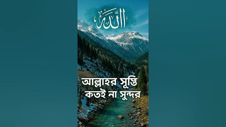 স্লট 168 ওয়া লেট