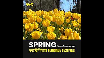 গাড়ি হে