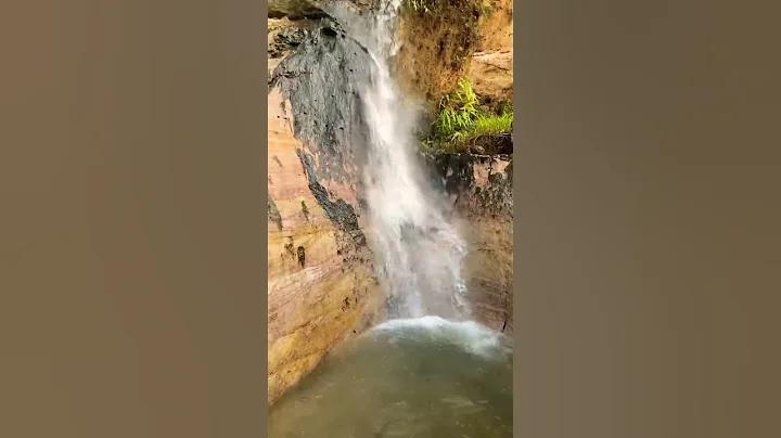লটারী ১ জুলাই