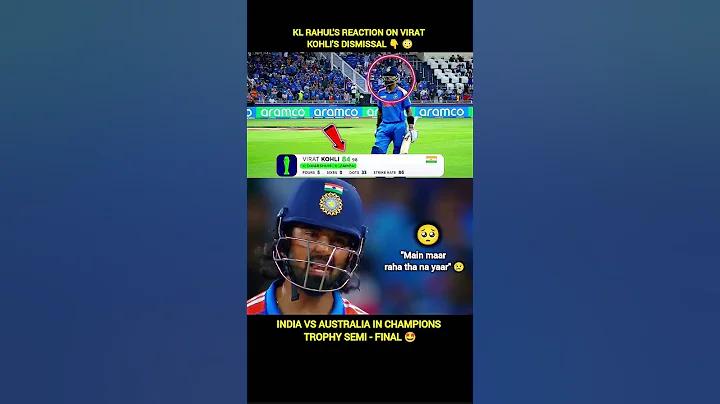 ক্রেডিট ফ্রি বিনা আমানত কোনও শেয়ার মোরাডোক৮৮