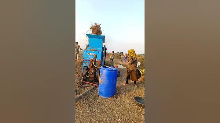 খবর এর কাগজ