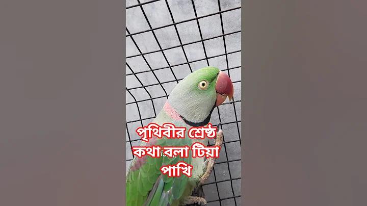 চাকরি ভিডিও