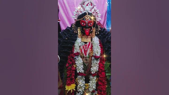 ফানকি টাইম লাইভ
