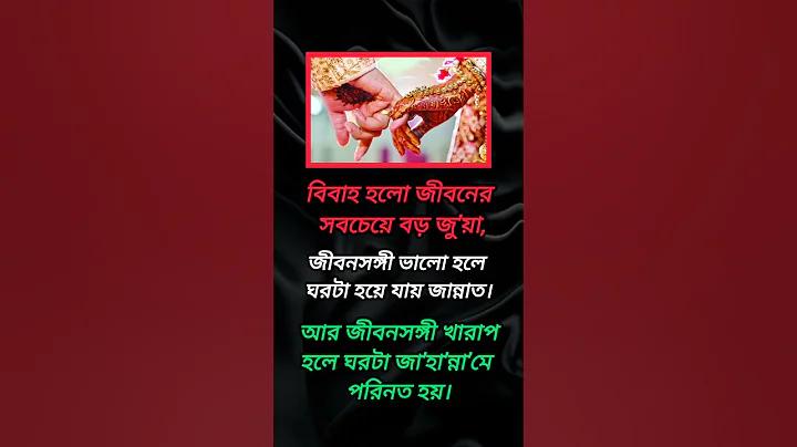 লাইভ ভিডিও কল অ্যাপ