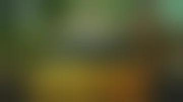 এমসি স্লট