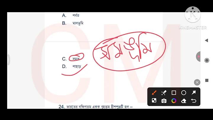 নিউটনের বিবাহ