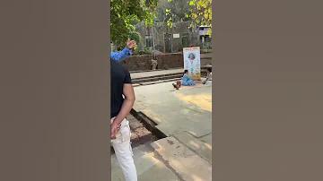 খেলা গেসমাস্টার বিঙ্গো অনলাইন. বিনামূল্যে জন্য
