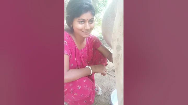 তুলন ফ্যাশন