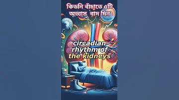 নিউজিল্যান্ড বনাম ইন্ডিয়া লাইভ