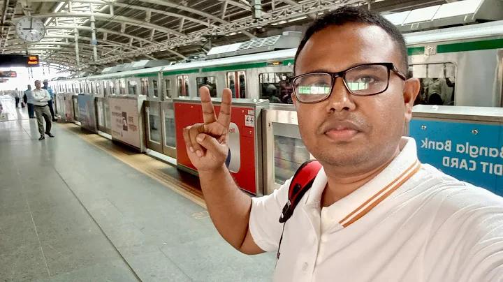হলুদ ১ আগস্ট ২৫৬৬