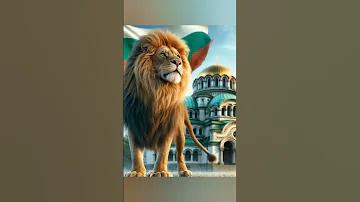 বিখ্যাত ওয়াটার ব্লু যুদ্ধ কোন শহরে অবস্থিত