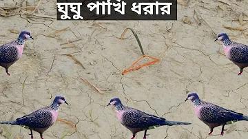 ধনী হওয়ার টিপস
